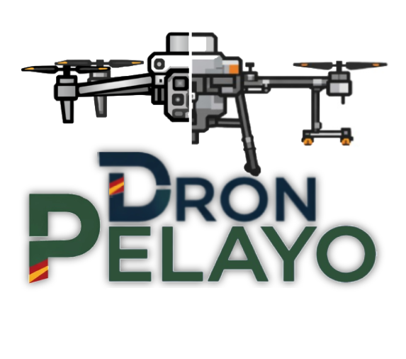 DronPelayo